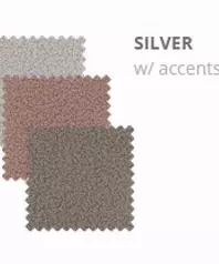 Silver with Accents